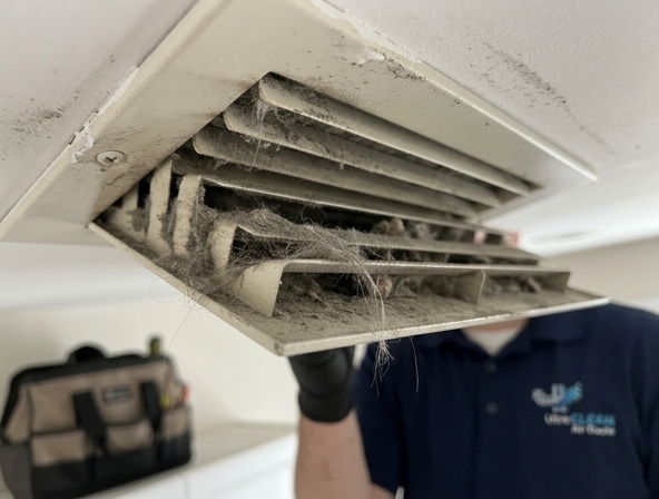 Why Dryer Vent Cleaning is Essential in Orlando